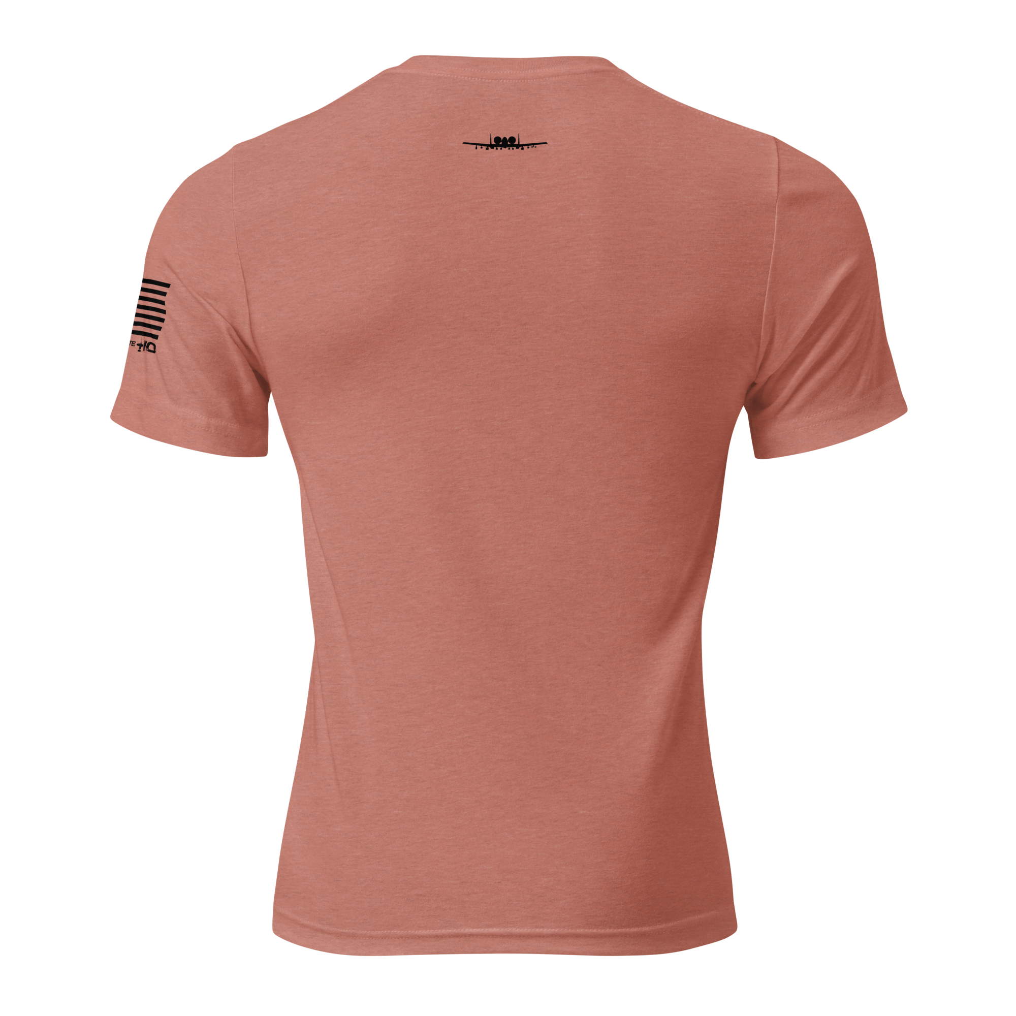 unisex-tri-blend-t-shirt-mauve-triblend-back-6600f9a58ac1c.png