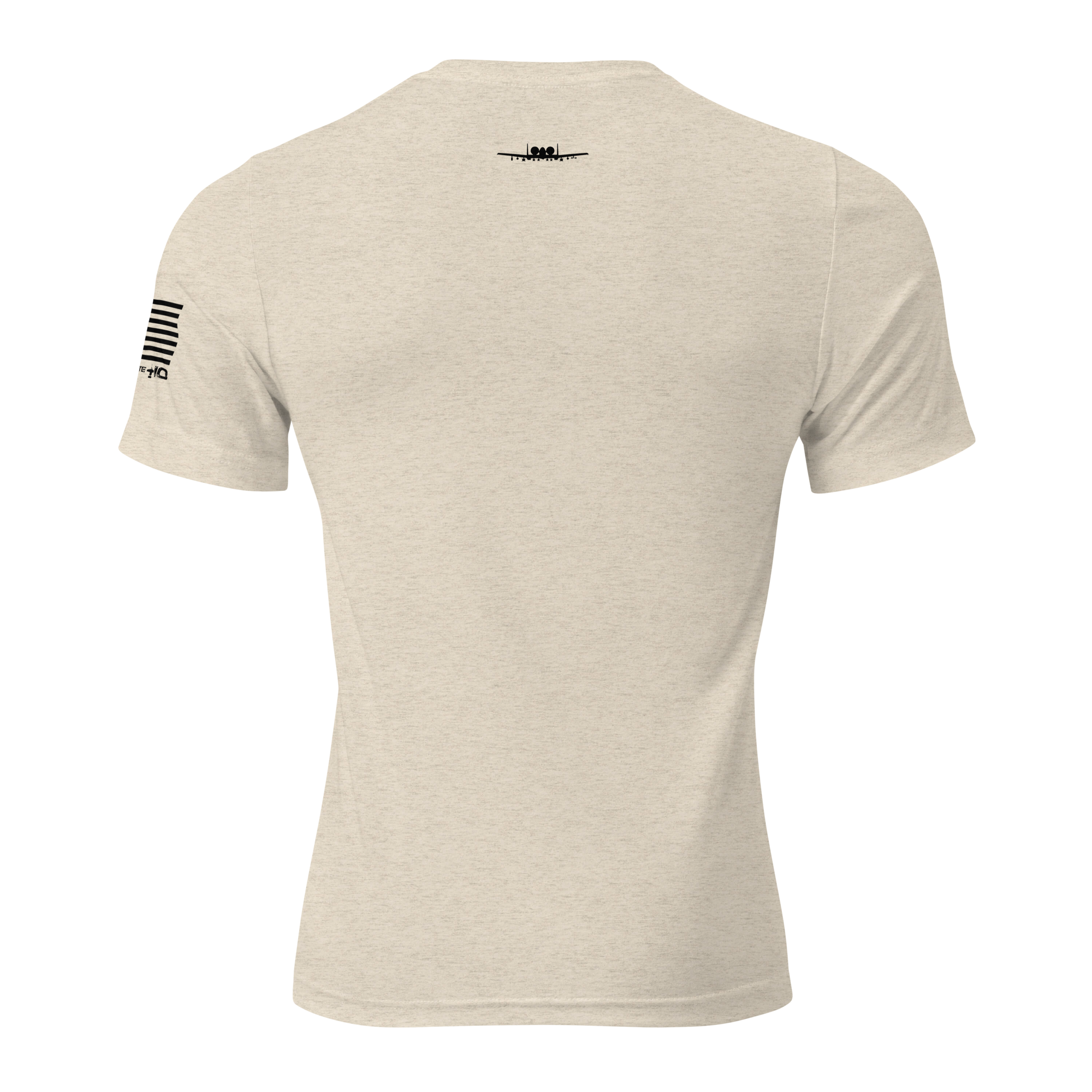 unisex-tri-blend-t-shirt-oatmeal-triblend-back-6600f9a5b709c.png